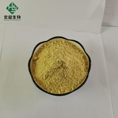 Natural Plant Extract Luteolin Bulk Powder 95% CAS 491-70-3