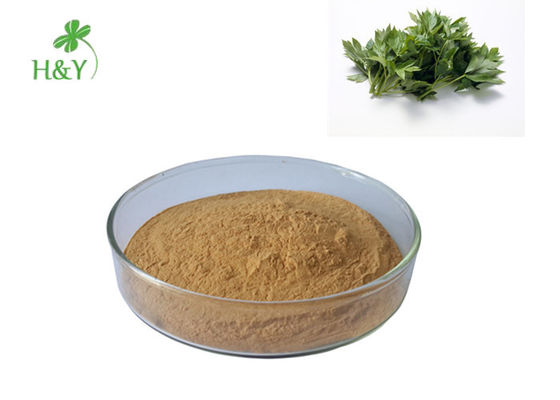 Pure Ashitaba Powder , Natural Ashitaba Extract Strong Anti Tumor Properties