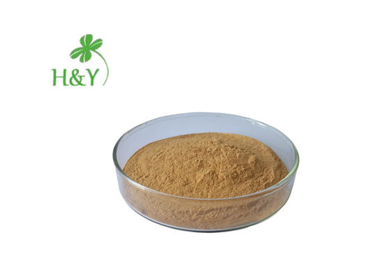 Improving Immunity Ashitaba Extract Powder Strong Anti Fungal Properties
