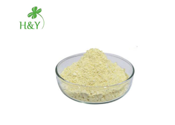 Medical Level Epimedium Powder , Honey Goat Weed Extract Icariin Powder