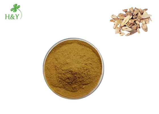 100% Natural top quality healthcare supplement dong guai angelica sinensis root extract
