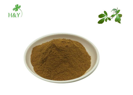 Hot selling healthy supplement natural herbal Jiaogulan gynostemma pentaphyllum extract