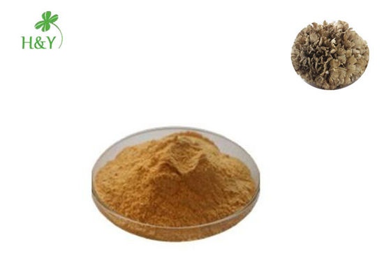 Manufacture directly supply super herb grifola frondosa maitake mushroom extract