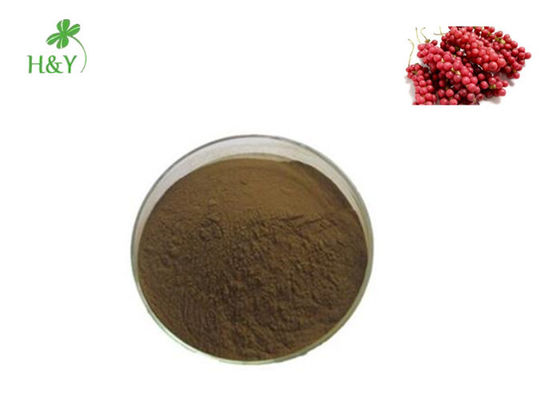 Hot selling natural herbal schizandra extract powder 10:1, 20:1, Customized