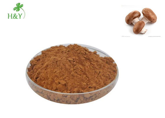 Wholesale high quality water soluble dried shitake mushroom extract powder