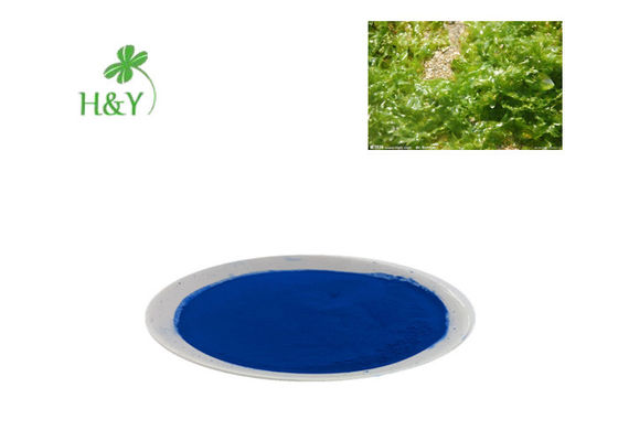 E18 E25 Healthy Phycocyanin Powder Excellent Natural Food Coloring