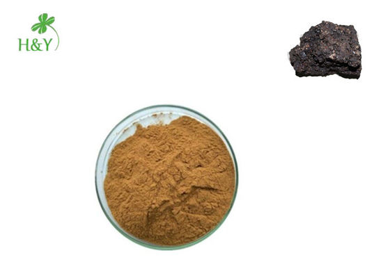 Food grade 100% natural high quality fresh shilajit extract powder 10:1, 20:1, Customized
