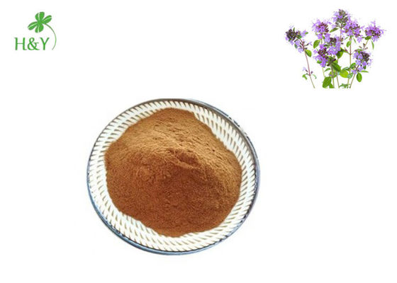 Powder Form Thyme Leaf Extract , Thymus Vulgaris Extract High Medicinal Value