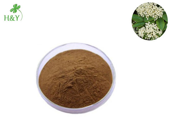 Natural Herbal Extract Powder , Health Care Supplement Elderberry Extract Powder