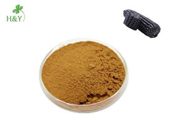 Health Care Supplement Purple Corn Extract Powder , Purple Maize Extract
