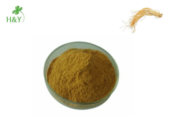 Siberian Ginseng Root Extract Powder For Rheumatic Heart Disease Treatment