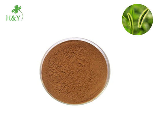Customized Horsetail Grass Extract 10:1 20:1 For Tuberculosis Treatment