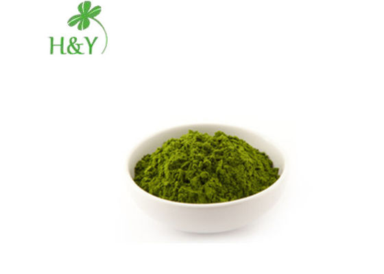 Blood Detoxification Pure Wheatgrass Powder With Rich Calcium Content