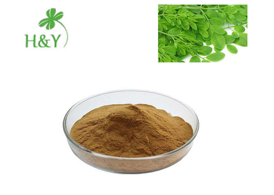 Brown Yellow Fresh Moringa Powder , Natural Plant Extract Anti Inflammatory