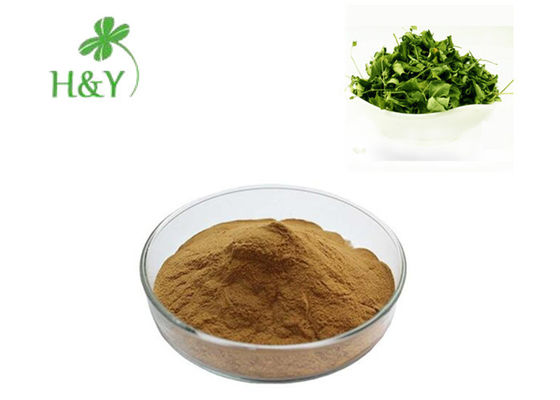 Brown Yellow Moringa Extract Powder , Customized Moringa Oleifera Powder