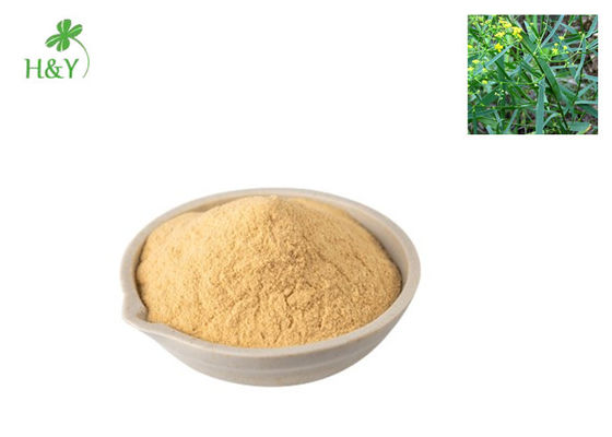 Natural Herbal Extract Powder Peumus Boldus Extract Boldo Leaf Extract TLC Test Method