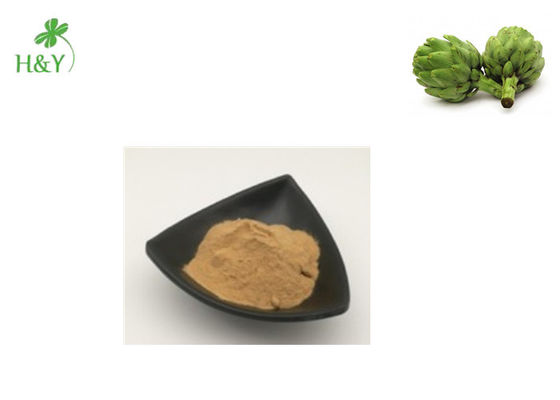 Herb Part Artichoke Extract Powder Brown Yellow Color With TLC Test Method