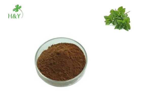 Anti Oxidant Origanum Vulgare Extract Brown Yellow Fine Powder Health Care Supplement