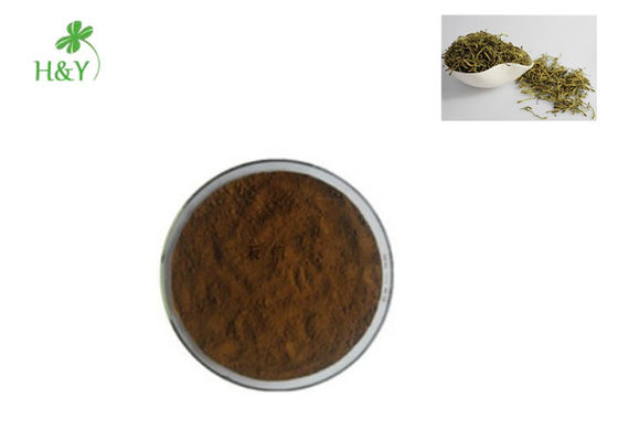100% Natural Herbal Extract Powder Anti Bacteria Lonicera Japonica Honeysuckle Extract
