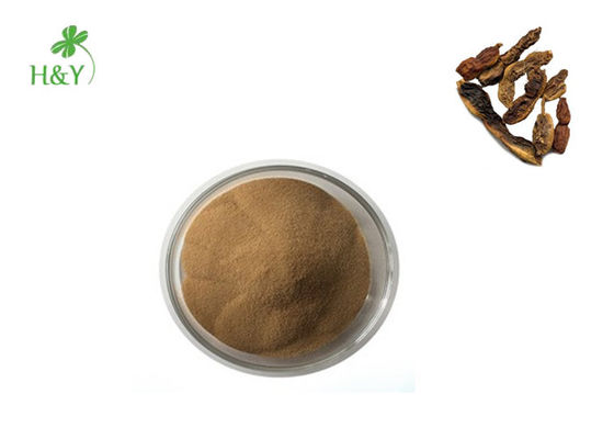 Improve Sleep Plant Extract Powder Natural Kava Extract Powder Root Part