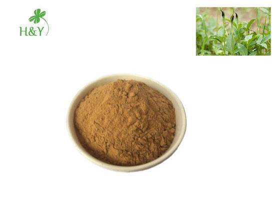 Pinellia Pure Natural Plant Extracts Brown Yellow Powder TLC Test Method