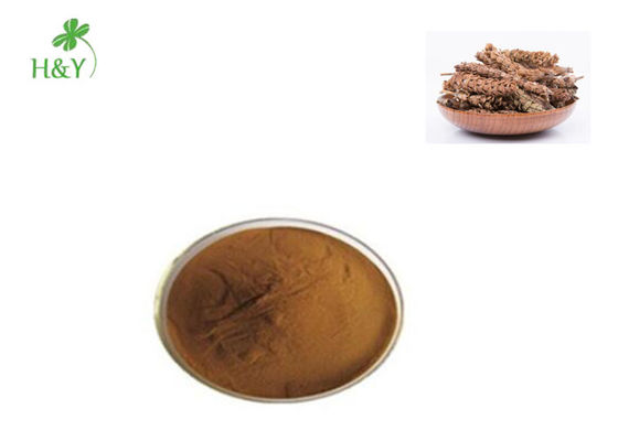 Customized Spica Prunellae Extract Prunella Vulgaris Extract Cure Cough