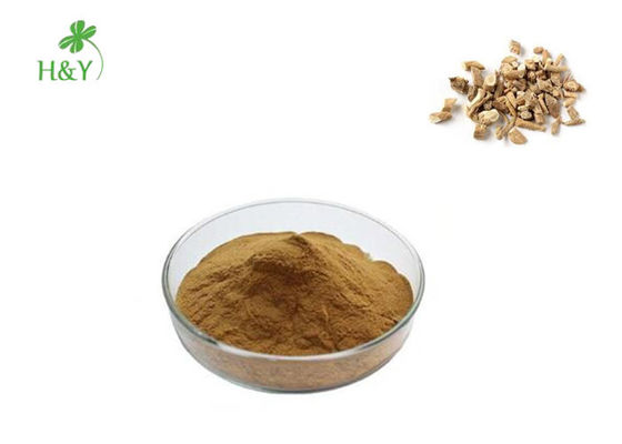 Root Part Herbal Radix Isatidis Extract Powder Non Toxic Bag / Drum Package
