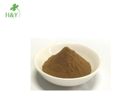 Brown Fine Natural Herbal Extract Verbena Extract Powder From Whole Herb