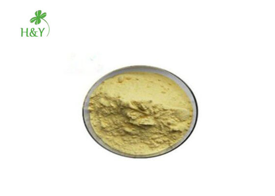 Root Part Herbal Extract Powder Natural Kava Extract Kavalactone 30% FDA / ISO