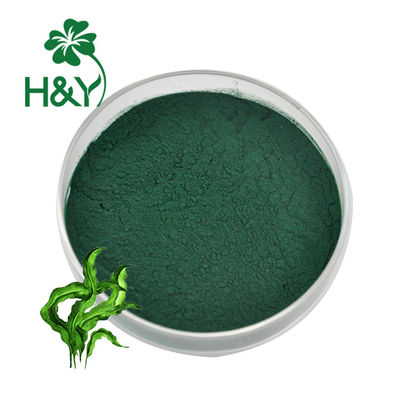 Food Grade Supplement Green Alga Extract Spirulina Powder