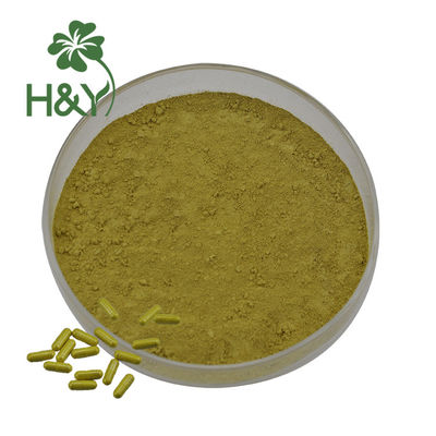 Dry Place Root 98% Fisetin Cotinus Coggygria Extract