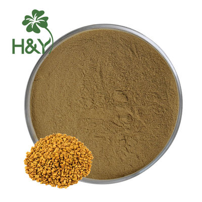 Manufacture directly supply natural herbal extract fenugreek seed extract powder