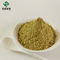 Natural Andrographis Paniculata Extract Powder Andrographolide CAS 5508-58-7