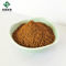 50% Resveratrol Polygonum Cuspidatum Root Powder CAS 501-36-0