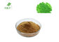 GMO Free Moringa Leaf Extract Fine Powder Type For Diarrhea Treatment