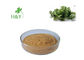 Anti Thrombus Ashitaba Leaves Herbal Extract Powder For Pharmaceutical Industry