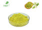 98% Sophora Japonica Flower Extract Yellow Green Form Antioxidant 1kg MOQ