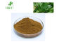 Pure Nature  Ashitaba Extract Brown Yellow Fine Powder Type 1kg MOQ