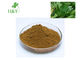 Ashitaba Leaves Natural Plant Extract Powder Type Antioxidant Antibacterial