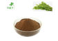 Natural Plant Moringa Leaf Powder Nutritionally Endowed Anti Inflammatory