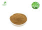 100% Natural plant high quality ashitaba extract powder 10:1, 20:1, customized