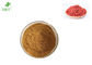 Goji Berry Lycium Herbal Extract Powder , Medicinal Wolfberry Extract Powder