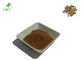 Brown Herbal Extract Powder , Teasel Root Powder For Liver Kidney Tonifying