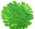10:1 20:1 Customized Moringa Extract Powder , Herbal Moringa Leaf Extract