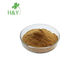 Superfood Use Moringa Leaf Extract Powder With Good Anti Bacterial Properties