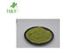 Protein Rich Moringa Leaf Extract Powder For Food Field Fiber Drum Packing