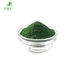 Feed Grade Superfood Ingredients Green Fine Powder Type Antioxidant