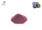 Fruit Part Herbal Extract Powder Natural Bilberry Extract Procyanidine OPC 5% - 25%