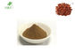 Sleep Help Herbal Extract Powder Jujube Extract Powder Anti Cancer Bag / Drum Package