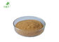 Treat Arrhythmia Herbal Cinchona Bark Extract Powder For Nutritional Supplement